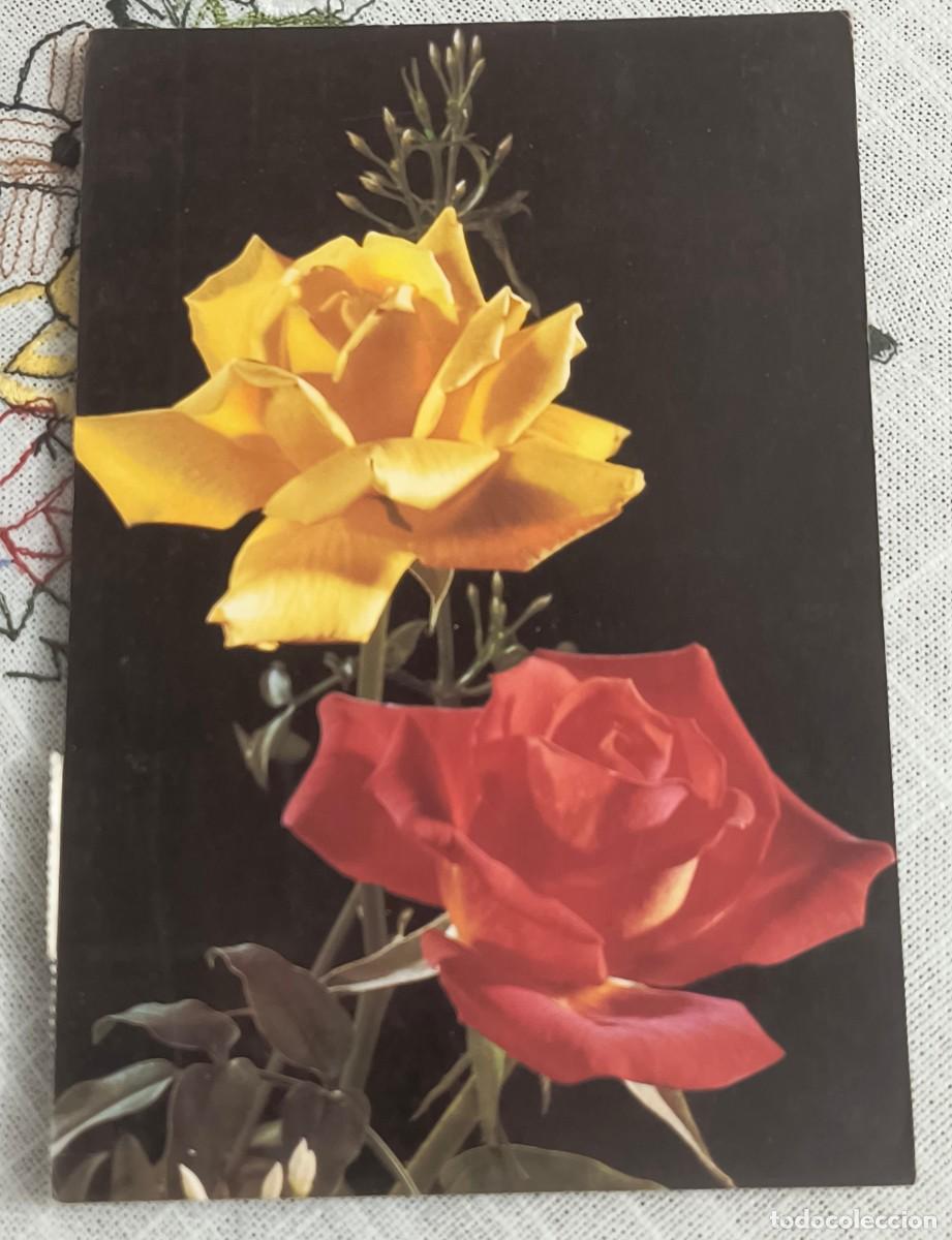 Postales: POSTAL | FLORES - CYZ 7591/29-A