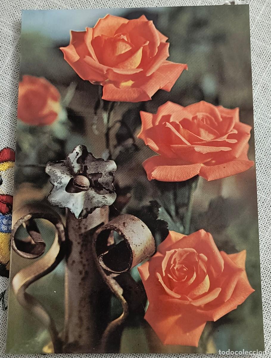 Postales: POSTAL | FLORES EN JARD&Iacute;N - Foto 1