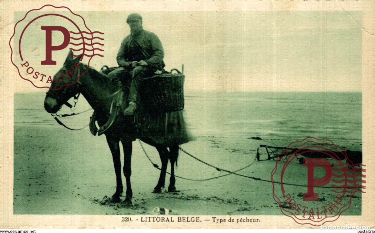 Postales: RARE KAART Littoral Belge. - Type de p&ecirc;cheur GARNAALVISSER VISSERS FISHING PECHE PECHEUR