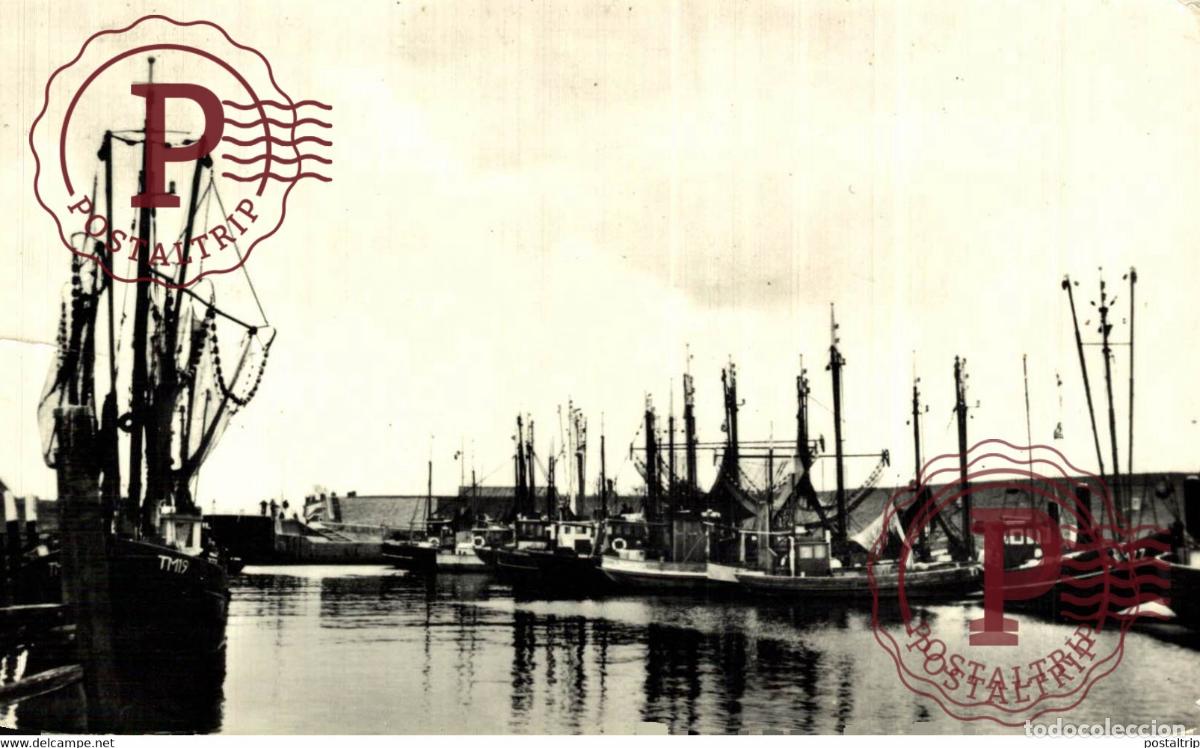Postales: RPPC HAVEN TERMUNTERZIJL VISSERS FISHING PECHE PECHEUR