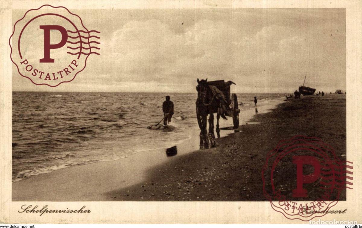 Postales: SCHELPENVISSCHER ZANDVOORT VISSERS FISHING PECHE PECHEUR