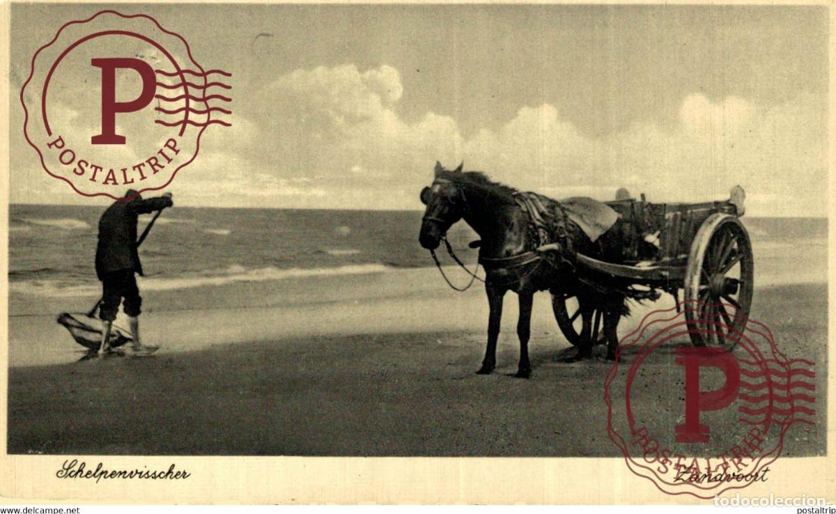 Postales: SCHELPENVISSCHER ZANDVOORT VISSERS FISHING PECHE PECHEUR