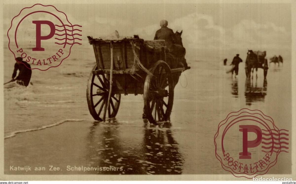 Postales: RPPC KATWIJK AAN ZEE SCHELPENVISSCHERS SCHELPENVISSCHER VISSERS FISHING PECHE PECHEUR