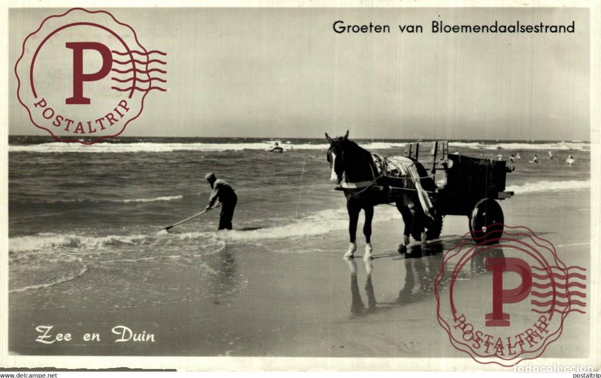 Postales: BLOEMENDAAL GROETEN VAN BLOEMENDAALSESTRAND SCHELPENVISSCHERS SCHELPENVISSCHER VISSERS FISHING PECHE