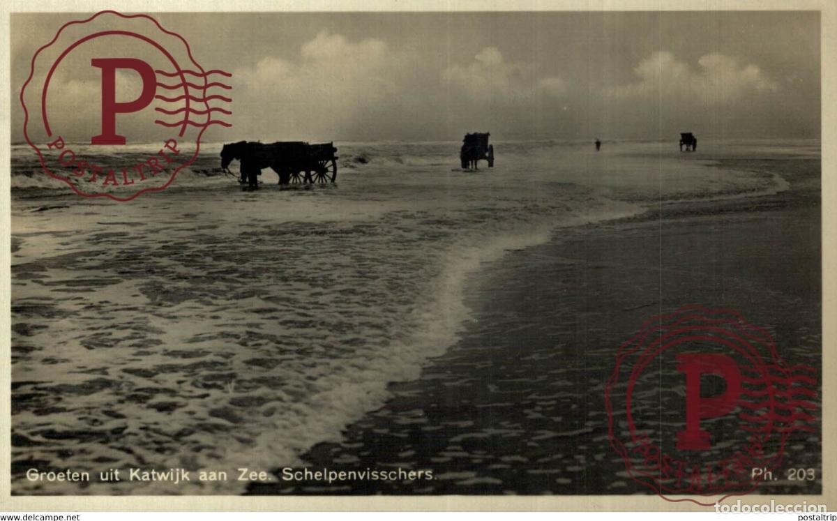 Postales: RPPC Katwijk aan Zee 1932 Schelpenvisschers SCHELPENVISSCHERS SCHELPENVISSCHER VISSERS FISHING PECHE