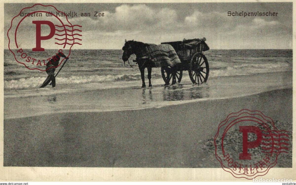 Postales: KATWIJK SCHELPENVISSCHER VISSERS FISHING PECHE PECHEUR