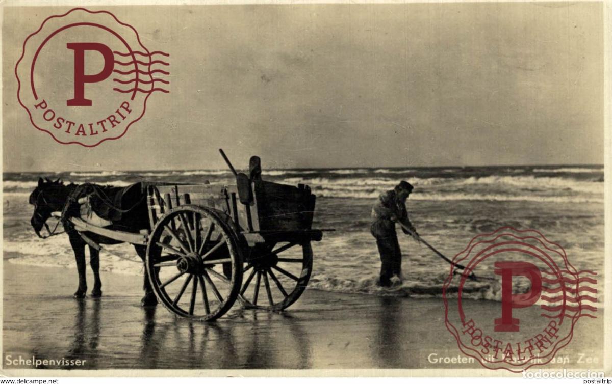 Postkarten: RPPC Katwijk aan Zee Schelpenvisser horse carriage SCHELPENVISSER SCHELPENVISSCHERS VISSERS FISHIN