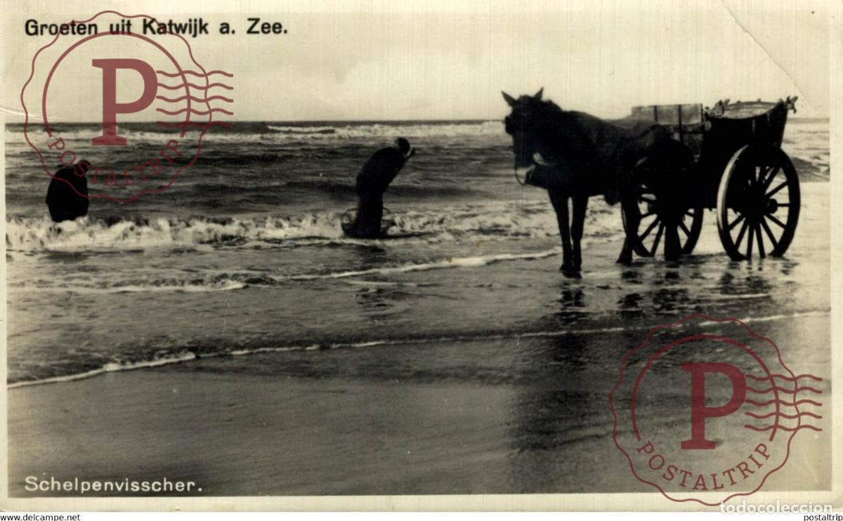 Postkarten: KATWIJK AAN ZEE SCHELPENVISSER SCHELPENVISSCHERS VISSERS FISHING PECHE PECHEUR