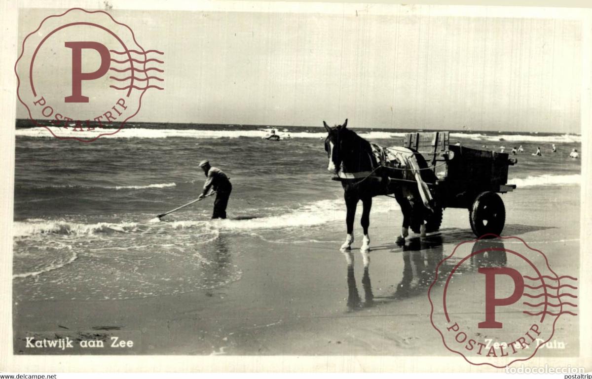 Postkarten: KATWIJK AAN ZEE ZEE EN DUIN SCHELPENVISSER SCHELPENVISSCHERS VISSERS FISHING PECHE PECHEUR