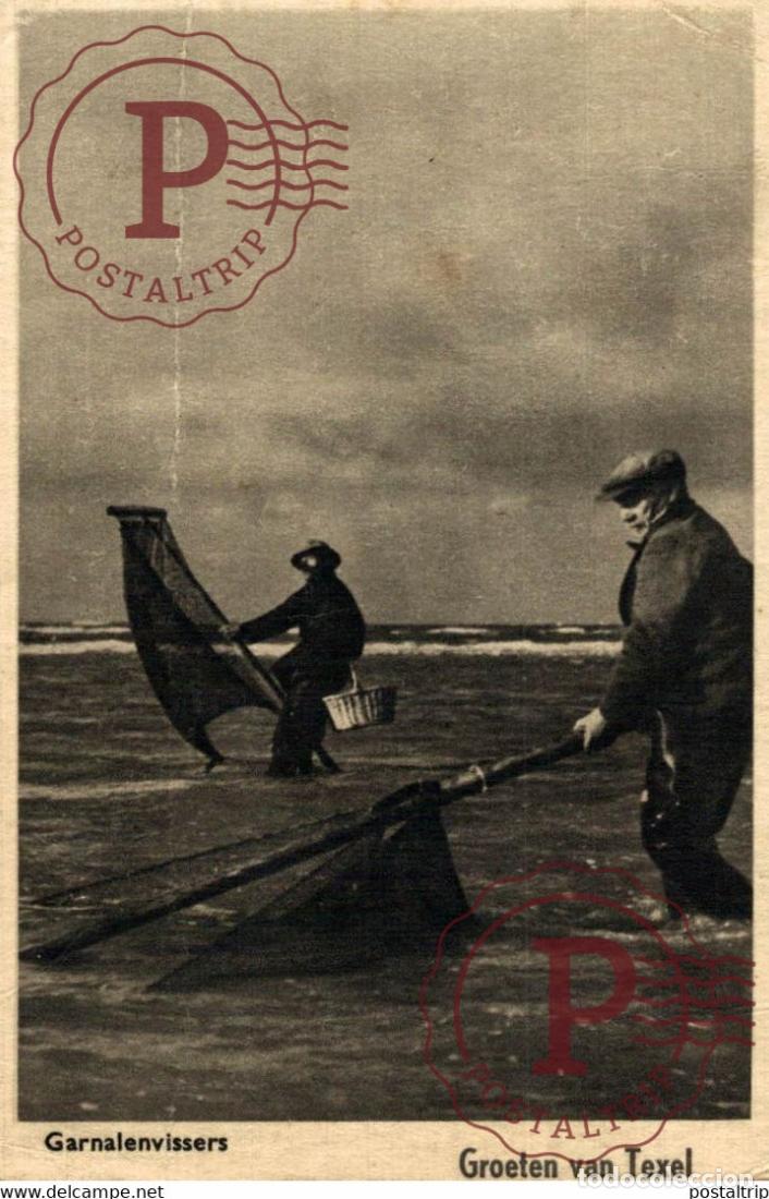 Postkarten: RARE KAART MAAR KREUK GARNALENVISSERS TEXEL GROETEN UIT VISSERS FISHING PECHE PECHEUR