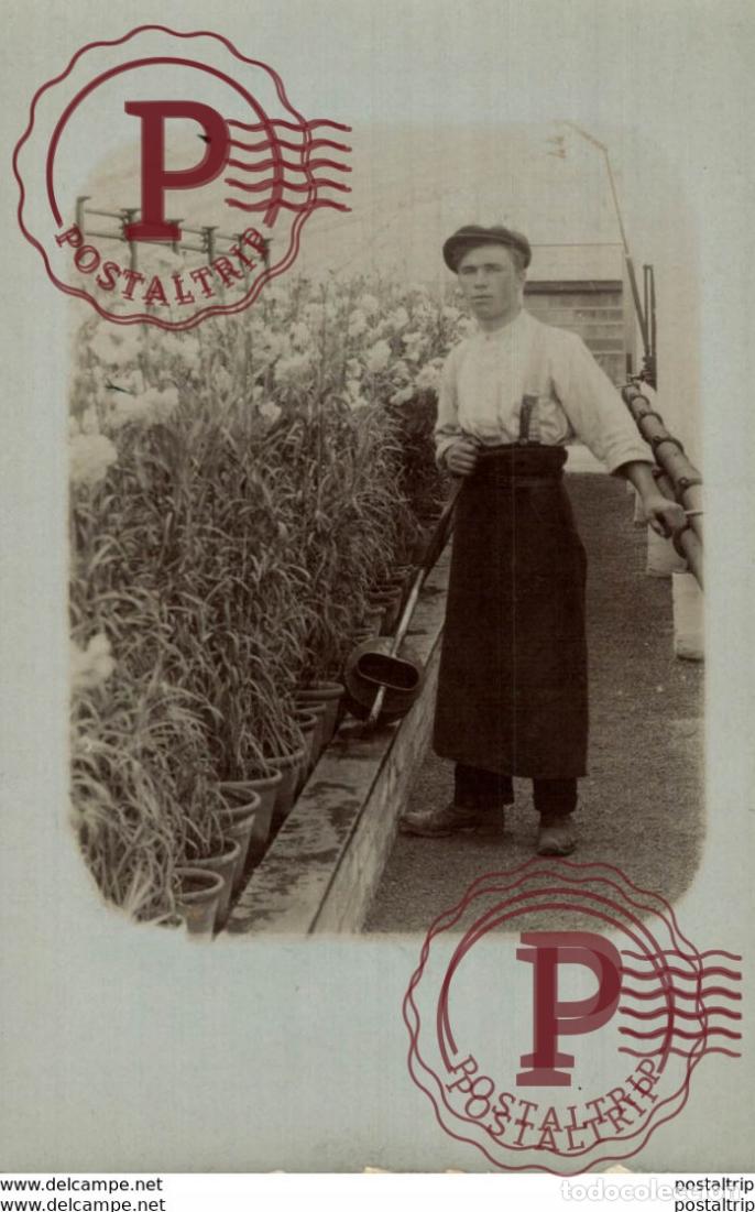 Postkarten: GARDENER JARDINERO. - REAL PHOTO FOTOGRAFICA