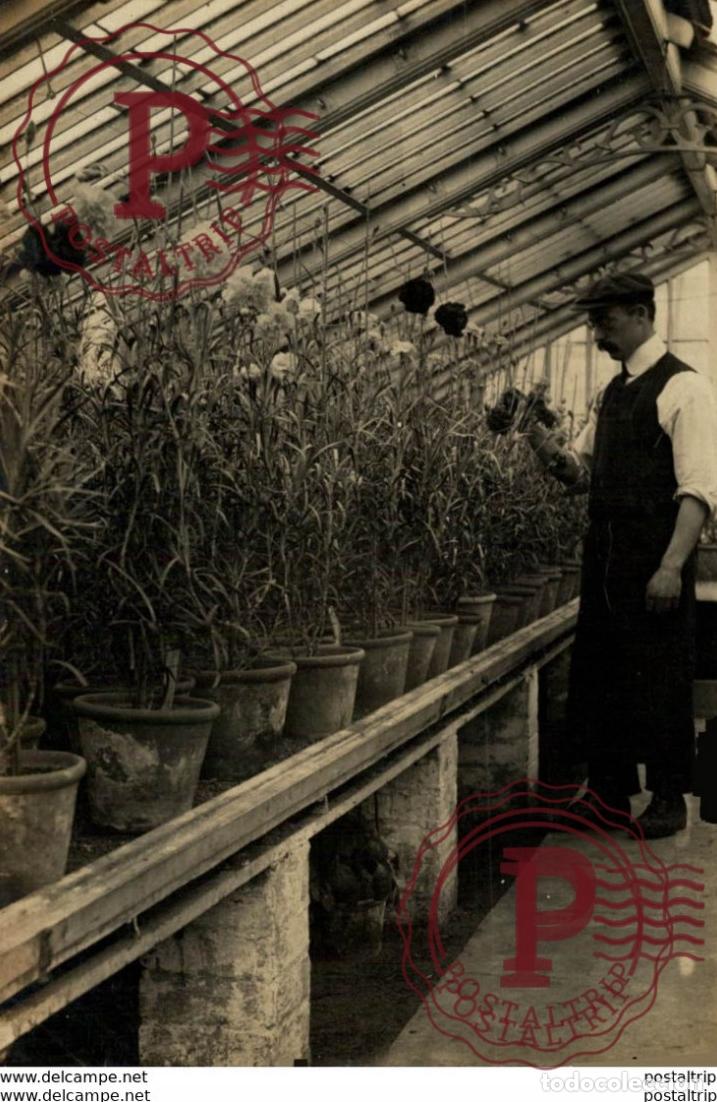 Postkarten: GARDENER JARDINERO. -