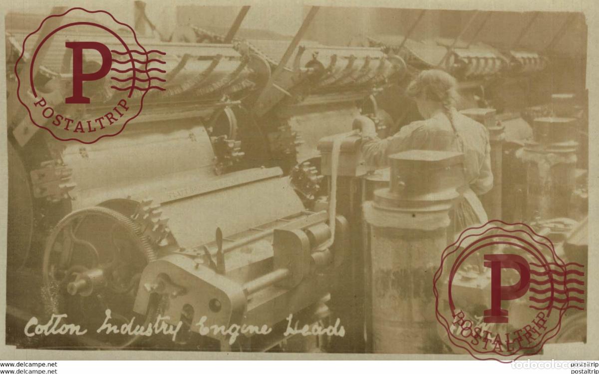 Cartoline: INDUSTRIA DE ALGODON COTTON INDUSTRY. REAL PHOTO FOTOGRAFICA