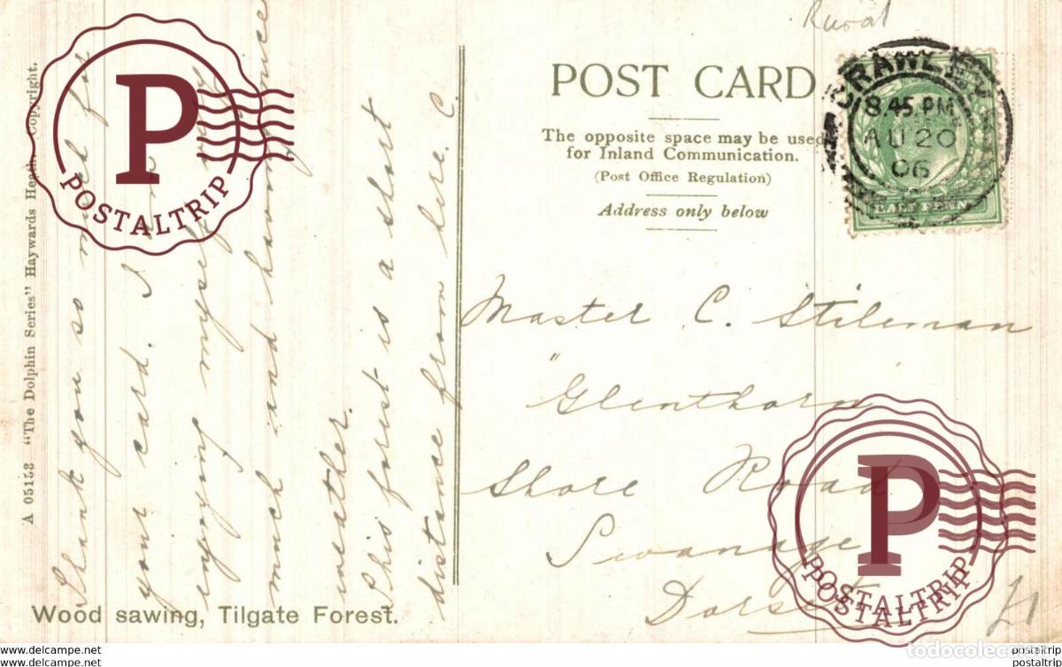 Postales: WOOD SAWING . TILGATE FOREST - Foto 2