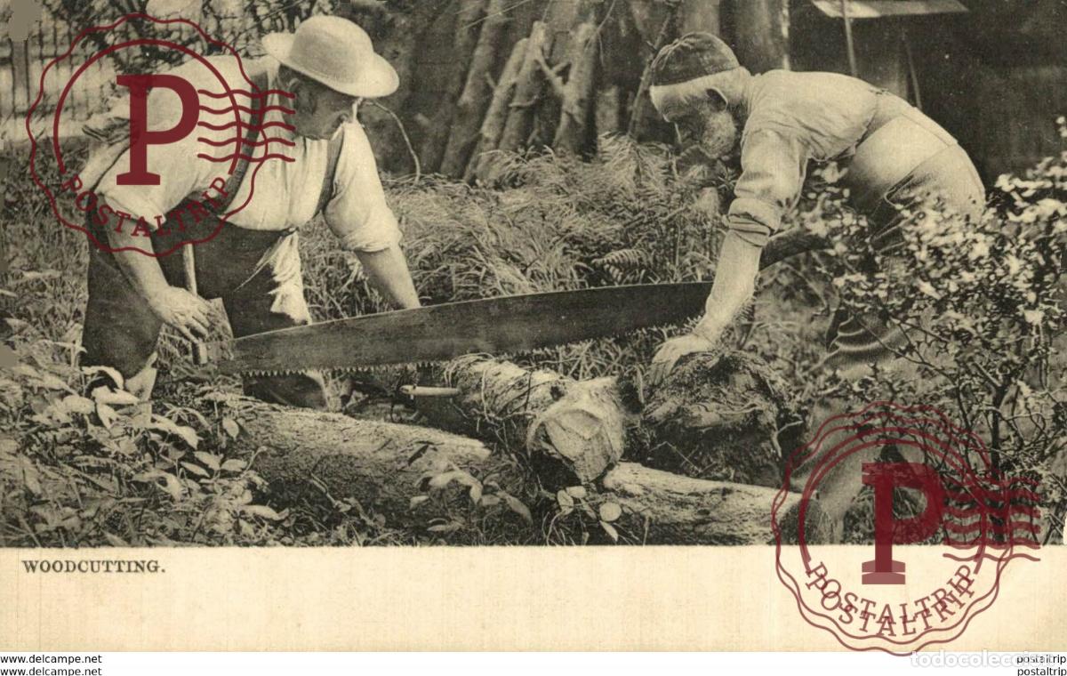 Cartoline: LE&Ntilde;ADORES. WOODCUTTING