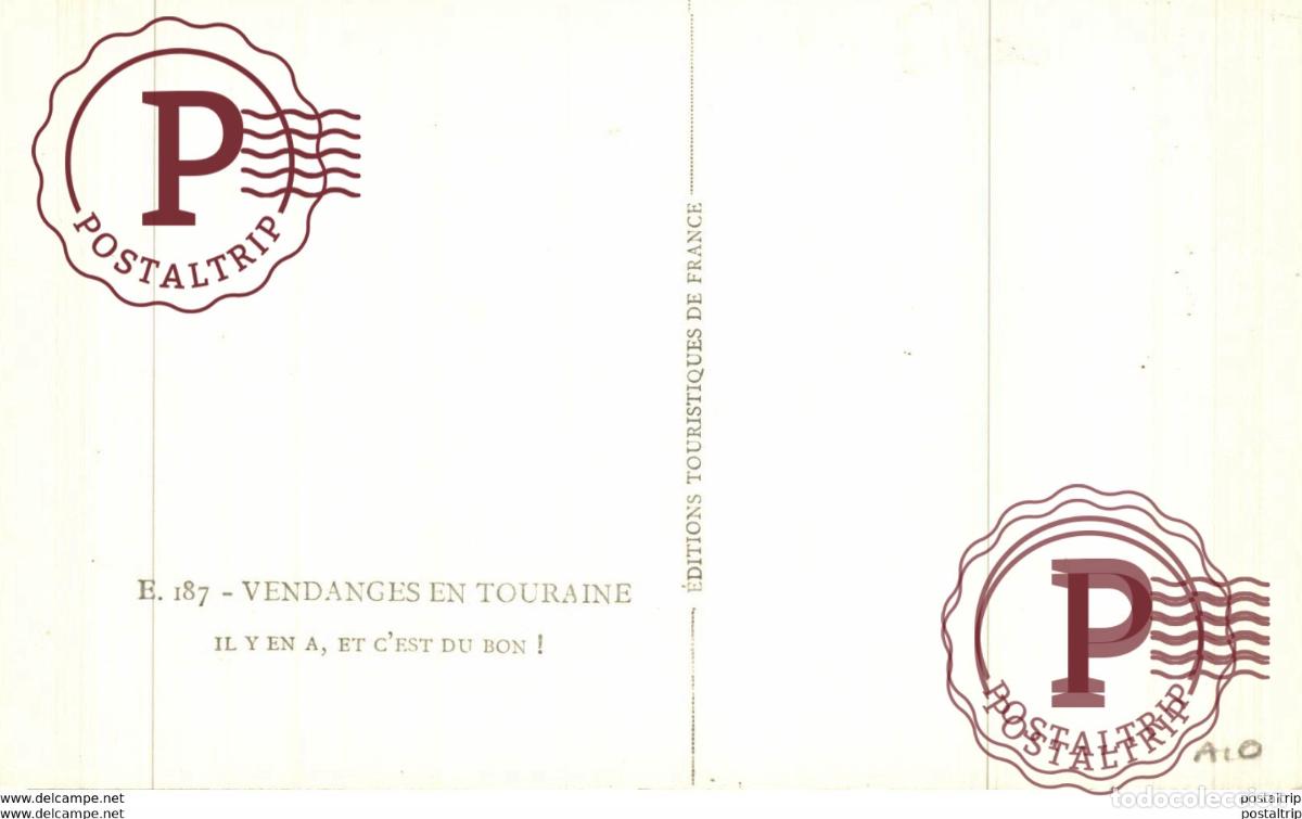 Postales: VENDIMIADOR GRAPES COLLECTOR - Foto 2