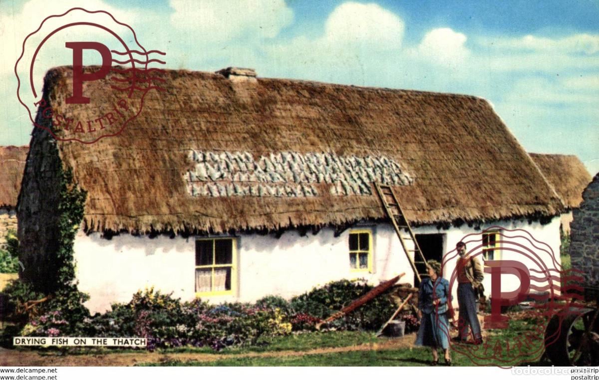 Cartoline: DRYING FISH ON THE THATCH