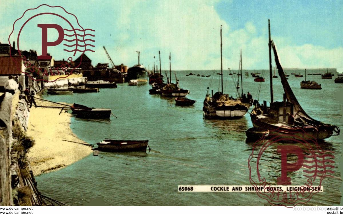 Cartoline: COCKLE AND SHRIMP BOATS