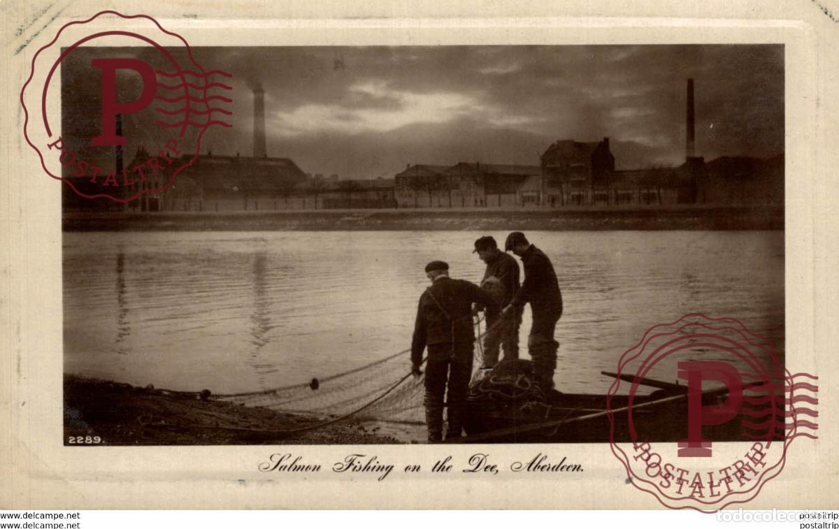Cartoline: SALMONS FISHING ON THE DEE, ABERDEEN, REAL PHOTO