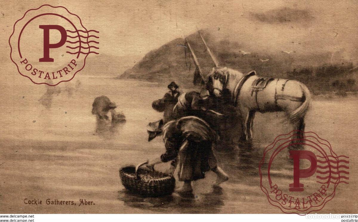 Cartoline: COCKLE GATHERERS ABER