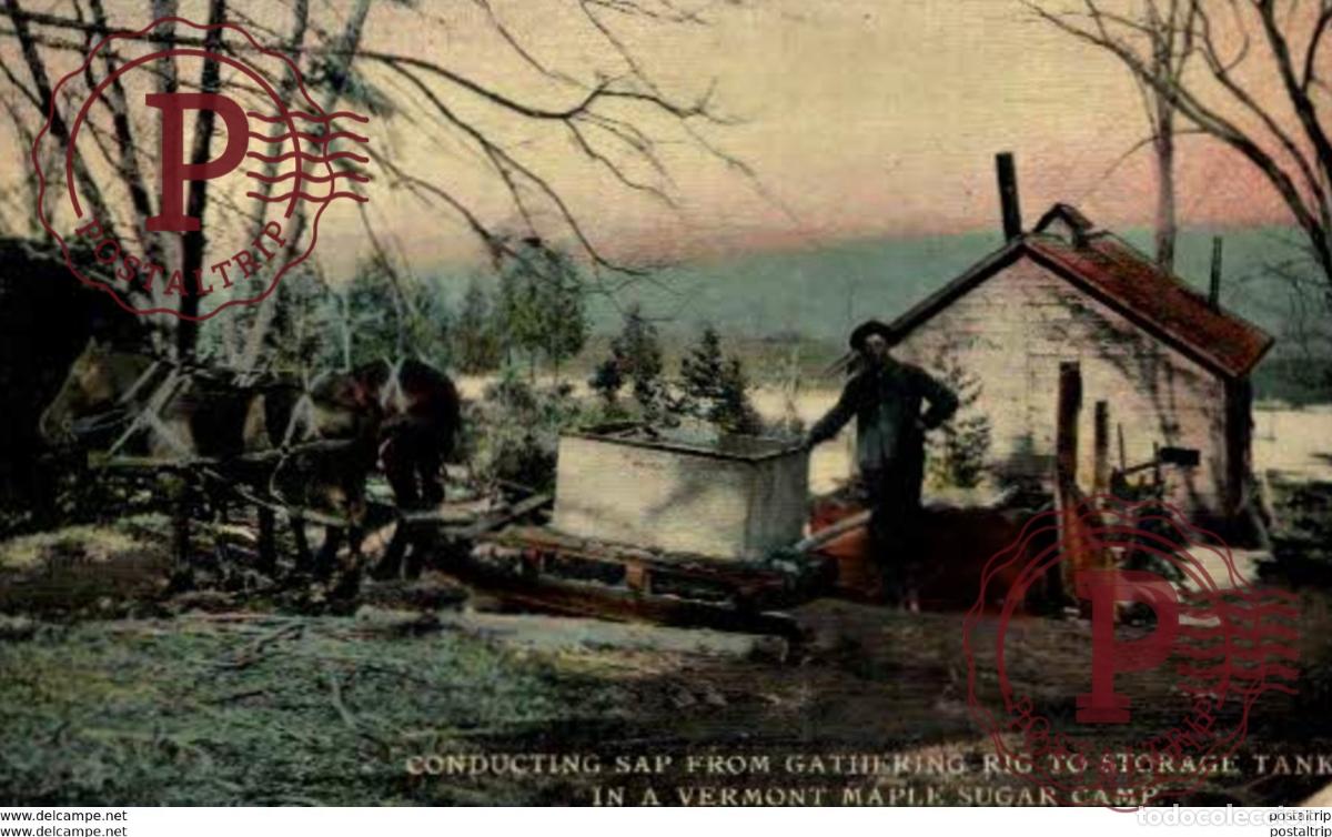 Cartes Postales: PROFESIONES PROFESSIONS. Conducting Sap from Gathering Rig to Storage Tank Vermont Maple Sugar Ca