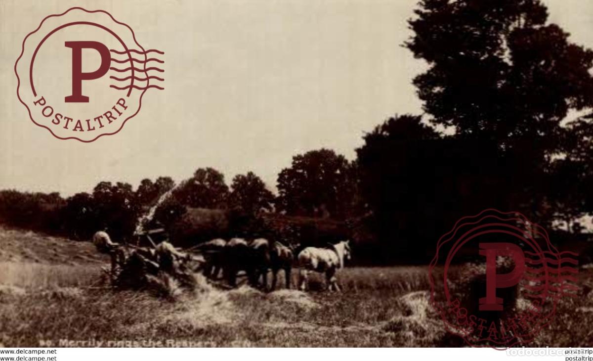 Postales: MERRILY RINGS THE REAPERS