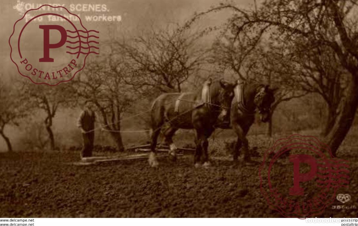 Postales: COUNTRY SCENES. TWO FAITHFUL WORKERS. - REAL PHOTO
