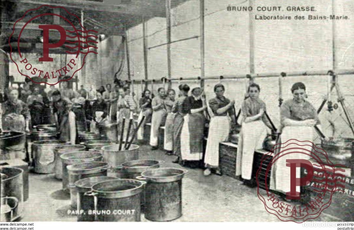 Postales: PROFESSIONES PROFESSIONS. Grasse, Bruno Court, Laboratoire des Bains-Marie