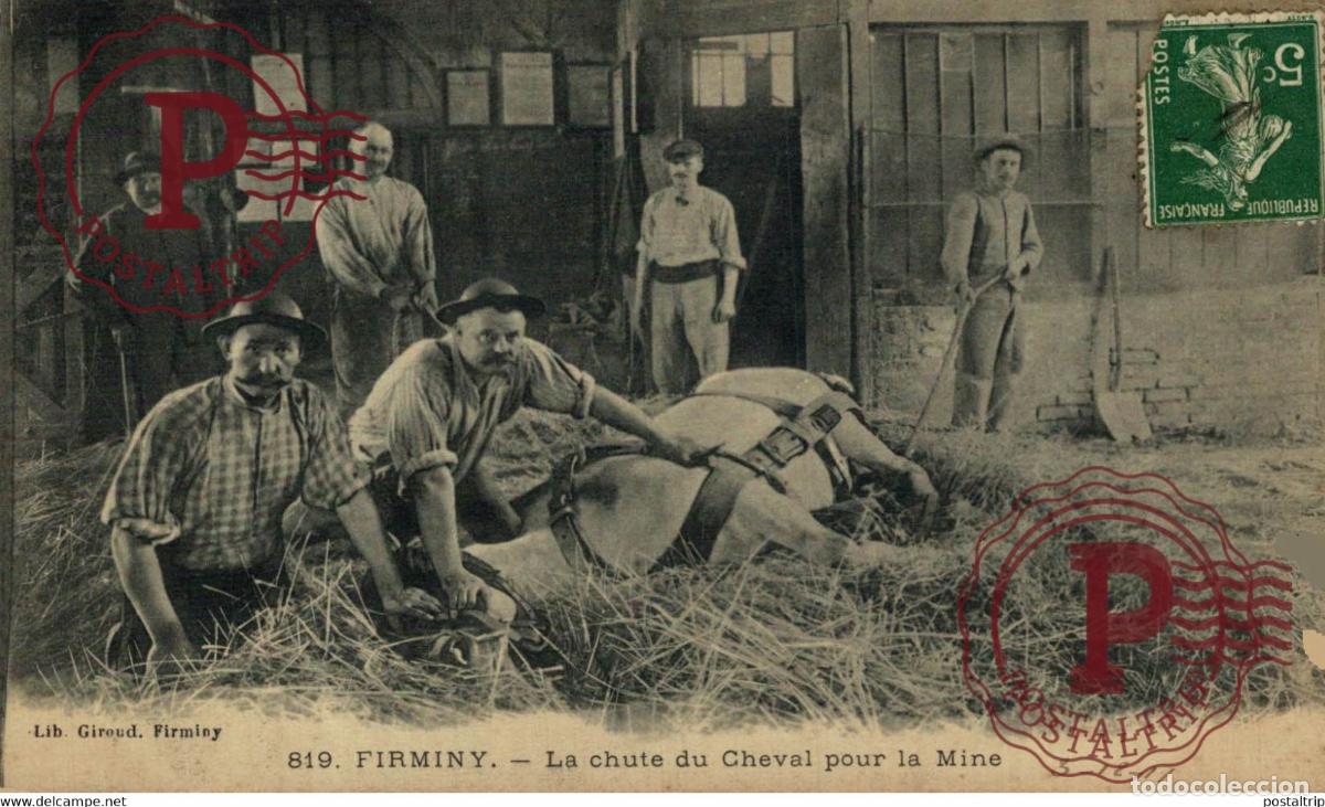 Postales: FIRMINY Loire 42 LA CHUTE DU CHEVAL POUR LA MINE MINE MINEURS M&eacute;tiers PROFESSIONS