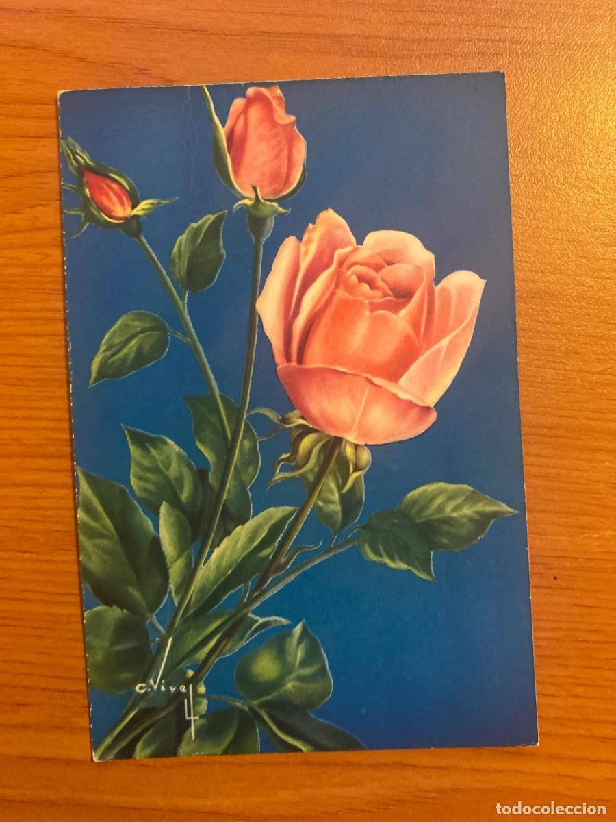 Postales: Postal art&iacute;stica de Carles Vives &ndash; Rosa rosa &ndash; C.Y.Z. 529/B &ndash; Sin circular