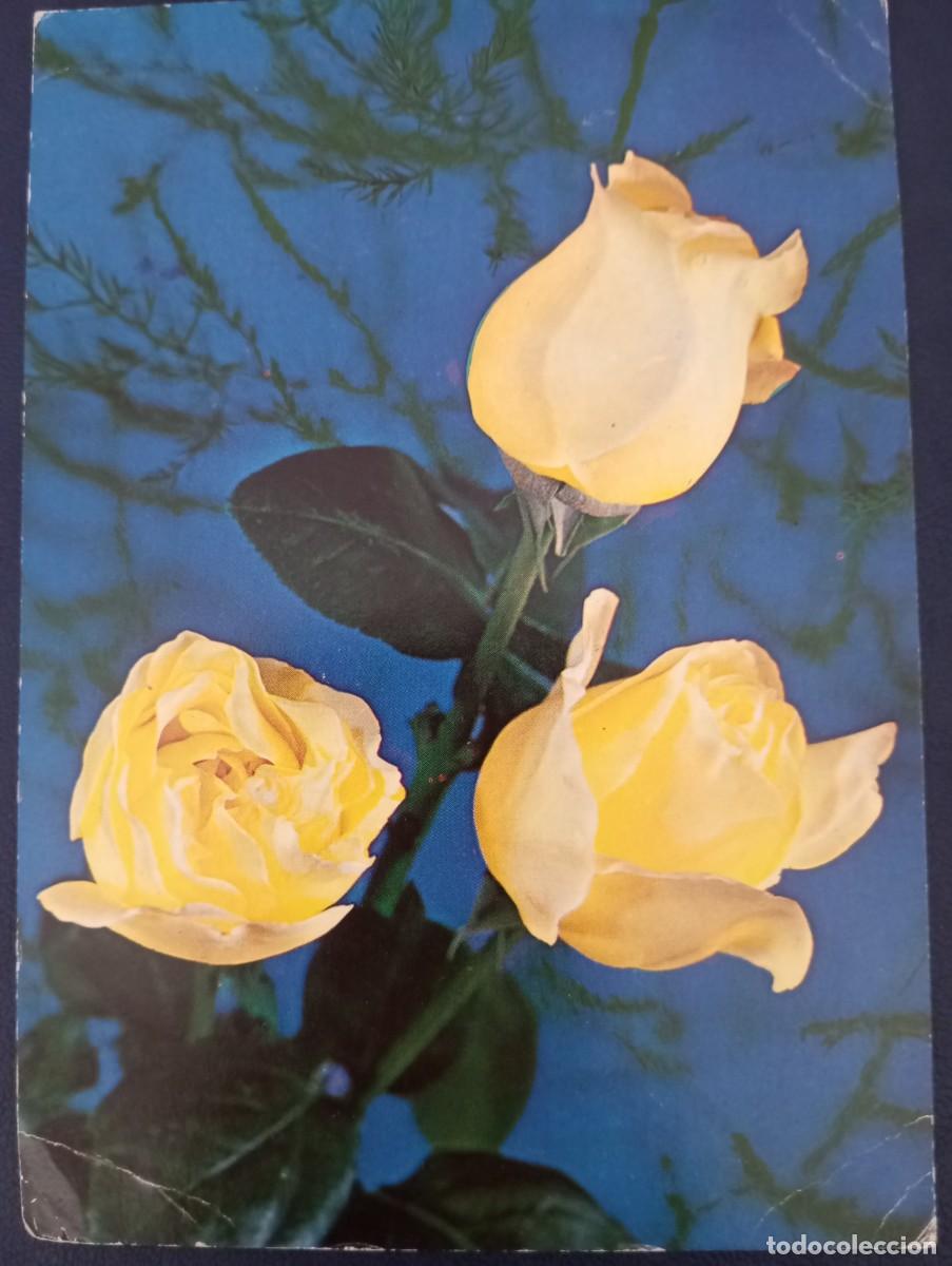 Postales: POSTAL POLACA, FLORES