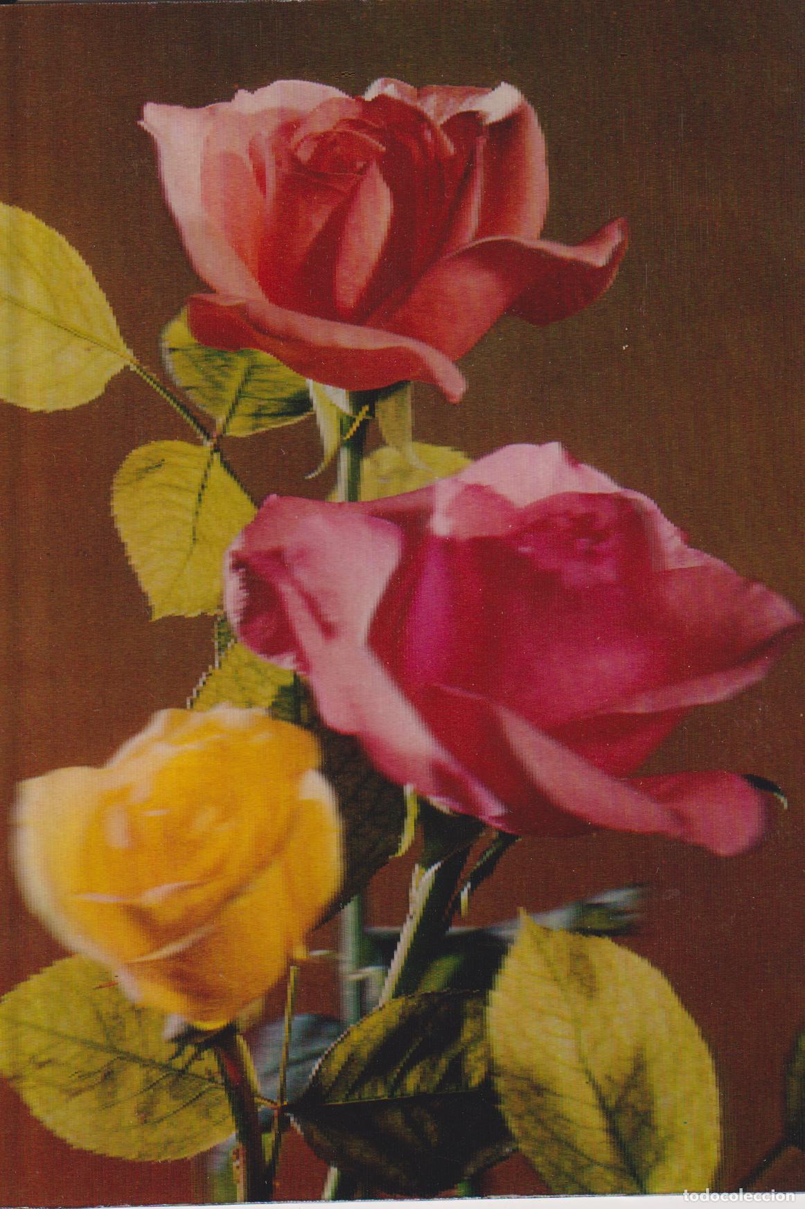 Postales: POSTAL ESTEREOSC&Oacute;PICA - FLORES, ROSAS - ESCUDO DE ORO N&ordm; R116 -ESCRITA