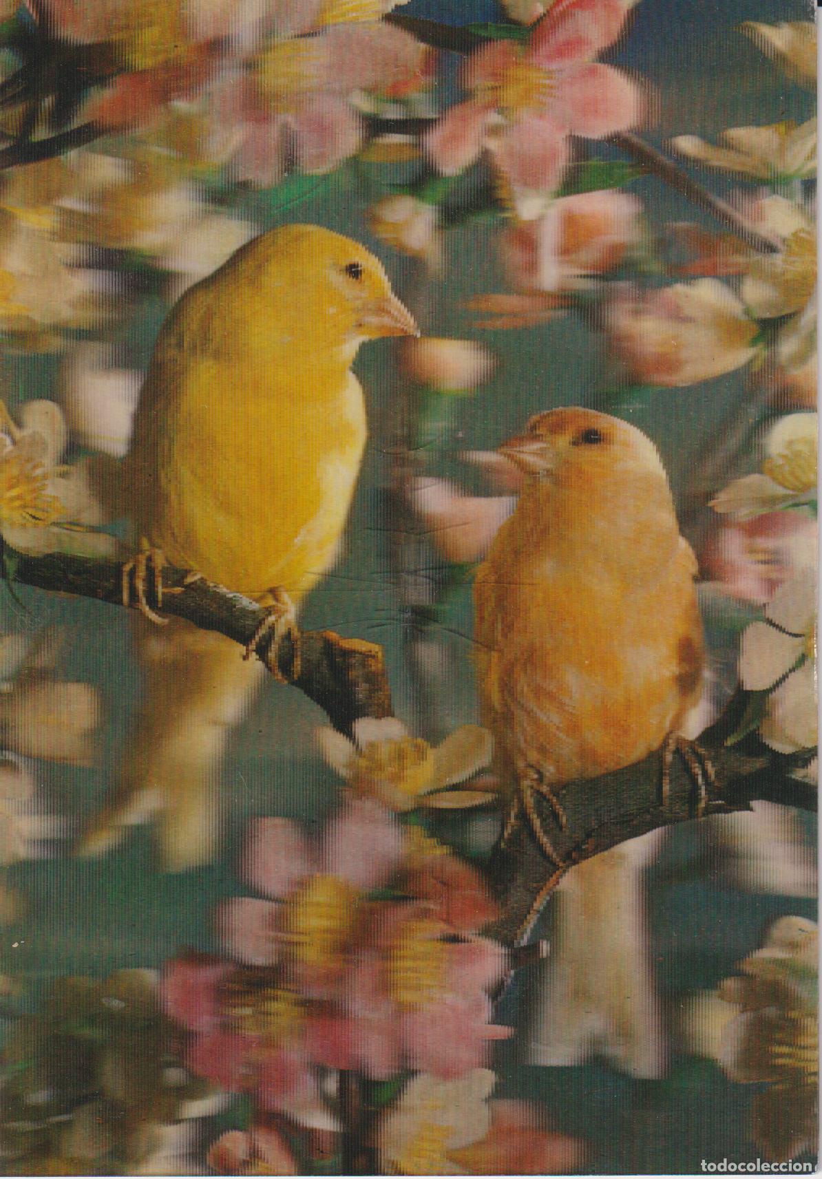 Postales: POSTAL ESTEREOSC&Oacute;PICA - PAJAROS Y FLORES - ESCUDO DE ORO N&ordm; R56 - ESCRITA