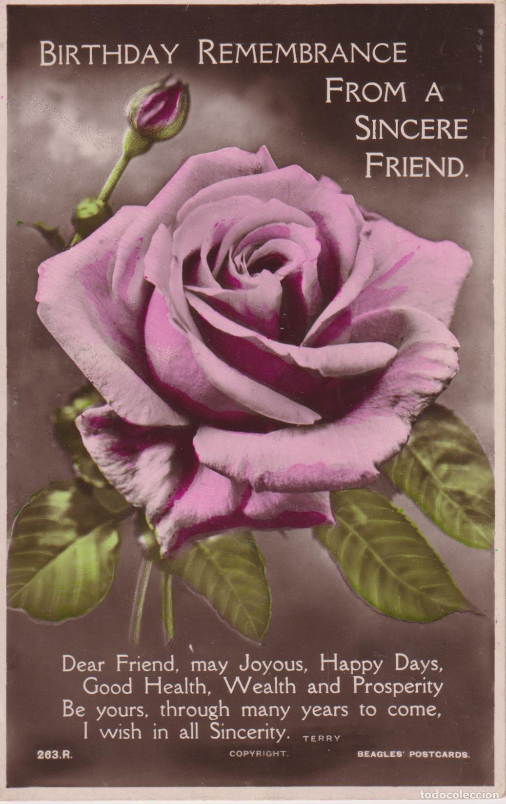 Postales: ANTIGUA POSTAL COLOREADA &ndash; ROSA ROSA EN EL CENTRO - BEAGLES' POSTCARDS 263.R. - ESCRITA