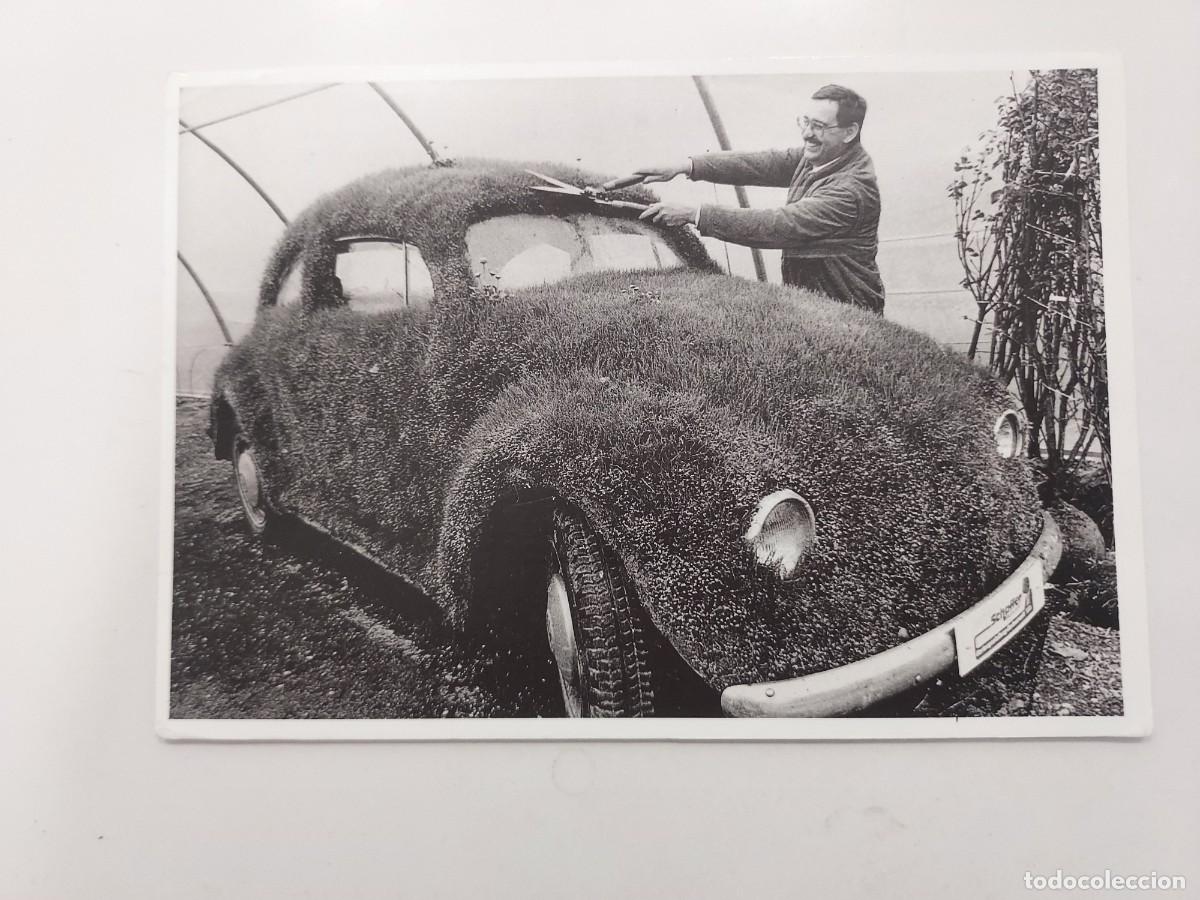 Postales: POSTAL FOTOGRAFIA HAIRY BEETLE. Volkswagen Escarabajo cesped, Anton Schaffer. CIRCULADA 2001
