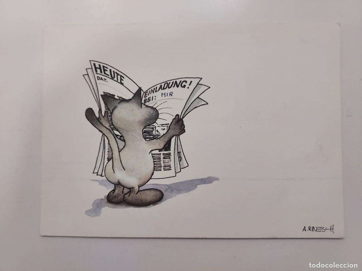 Postales: POSTAL ILUSTRADOR ALEXANDER RINESCH. GATO LEYENDO PERI&Oacute;DICO. MUNSTER. ESCRITA