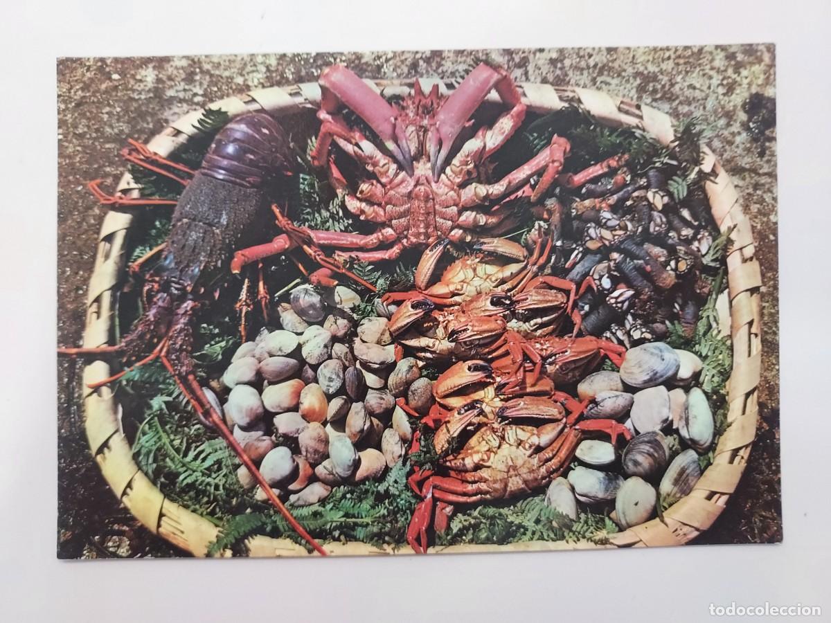 Postales: POSTAL GALICIA MARISCOS. SIN CIRCULAR. 1971. Almejas, n&eacute;coras, centollo, percebes