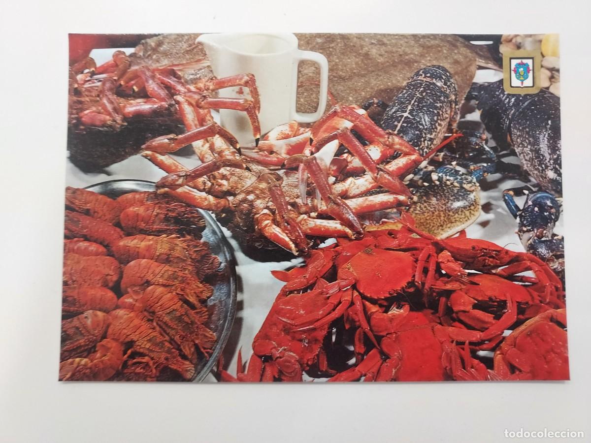 Postcards: POSTAL GALICIA MARISCOS. SIN CIRCULAR. 1975. Langosta, n&eacute;coras, centollo, cangrejo