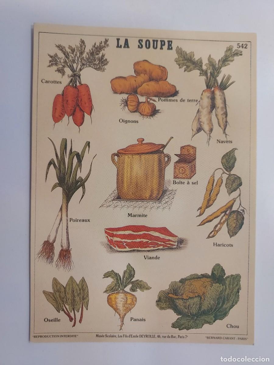 Postales: POSTAL LAMINA EDUCATIVA. LA SOUPE. Mus&eacute;e Scolaire, Les Fils d'&Eacute;mile Deyrolle de Par&iacute;s. S/C