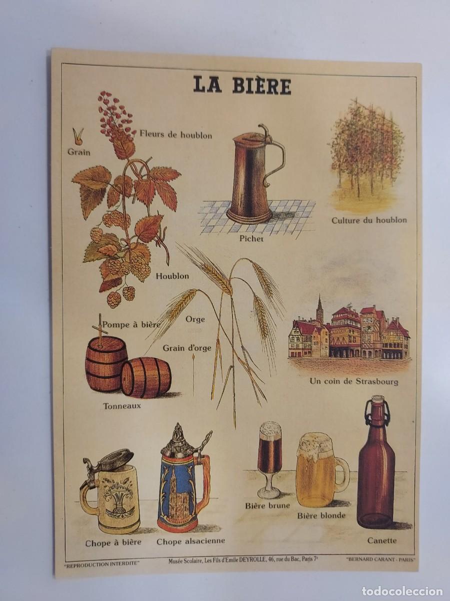 Postales: POSTAL LAMINA EDUCATIVA. LA BIERE. Mus&eacute;e Scolaire, Les Fils d'&Eacute;mile Deyrolle de Par&iacute;s. S/C. Cerveza