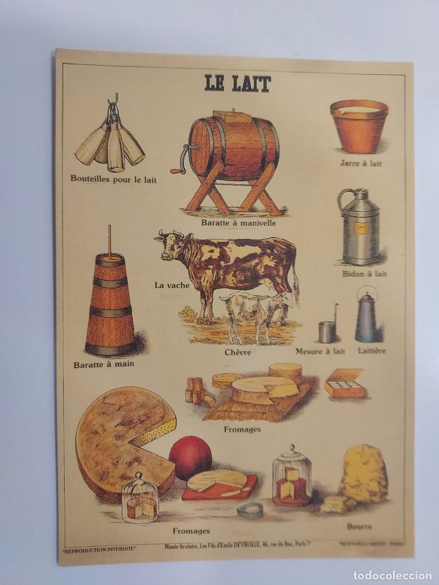 Postales: POSTAL LAMINA EDUCATIVA. LE LAIT. Mus&eacute;e Scolaire, Les Fils d'&Eacute;mile Deyrolle de Par&iacute;s. S/C. Leche