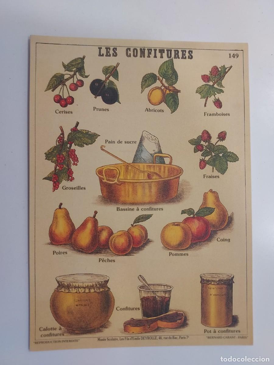Postales: POSTAL LAMINA EDUCATIVA. LES CONFITURES. Mus&eacute;e Scolaire, Les Fils d'&Eacute;mile Deyrolle de Par&iacute;s. S/C.
