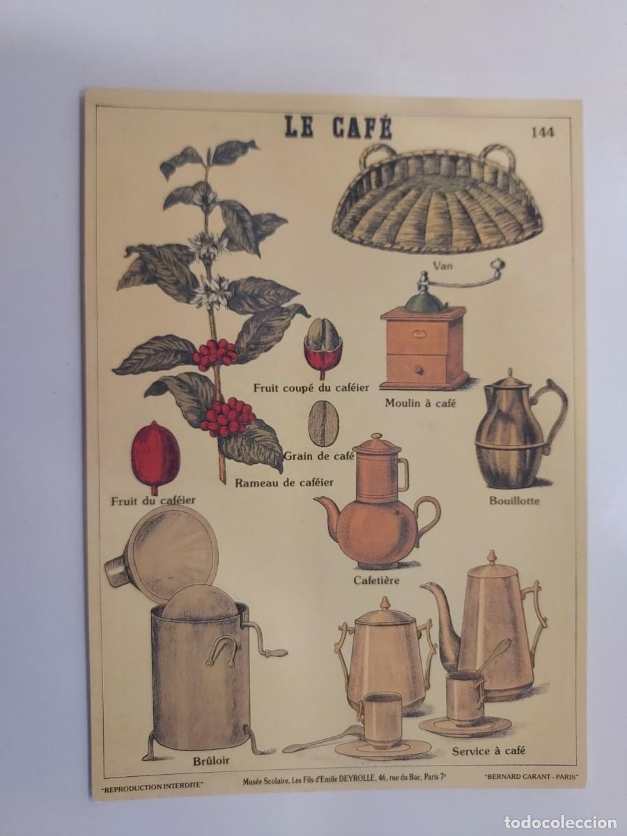 Postales: POSTAL LAMINA EDUCATIVA. LE CAFE. Mus&eacute;e Scolaire, Les Fils d'&Eacute;mile Deyrolle de Par&iacute;s. S/C.