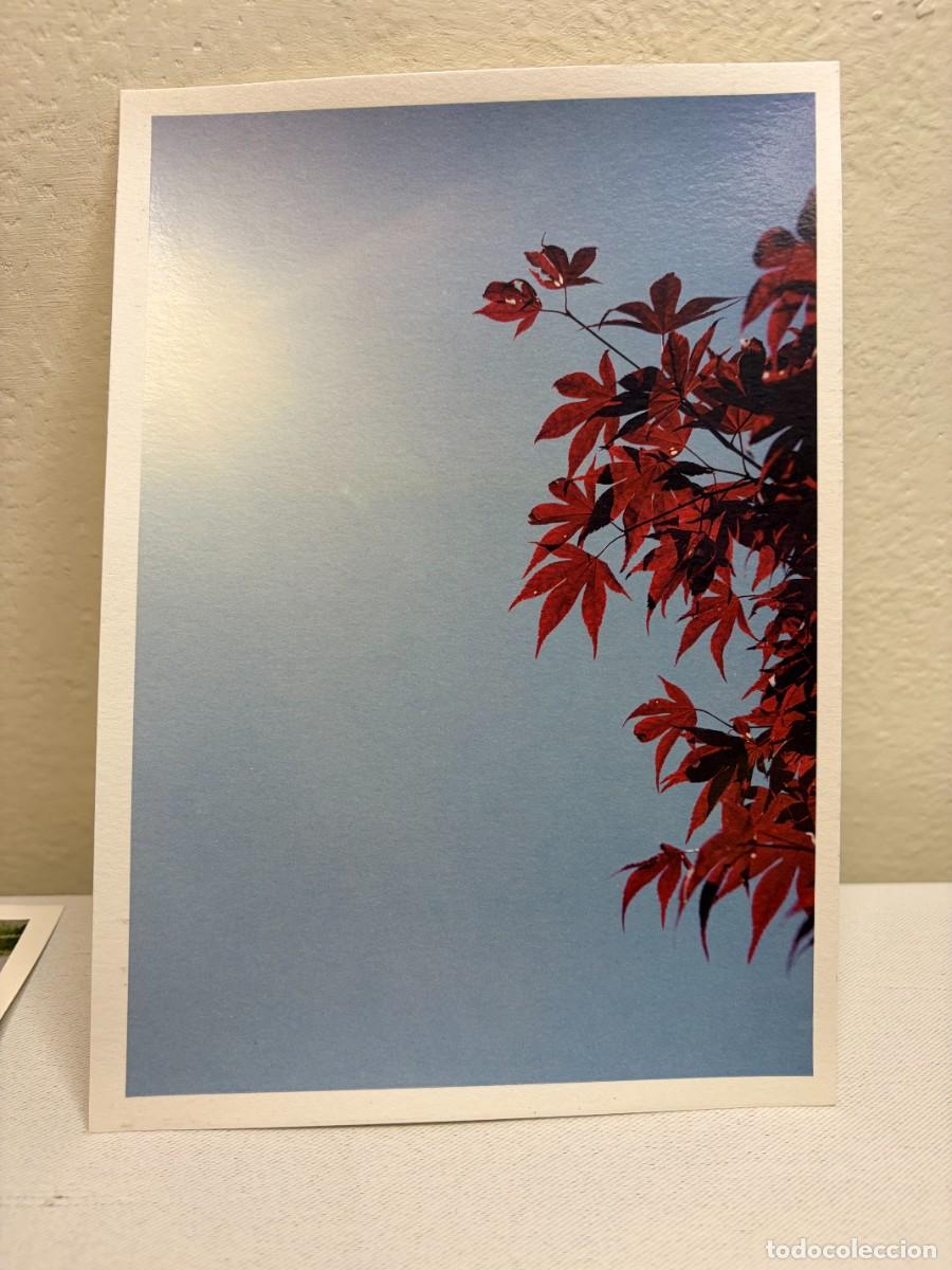 Postales: Set 4 postales The Flow Louis Vuitton 2015 - Foto 2