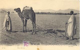 Postales: Une charrue. ND photo - Foto 1