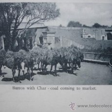 Postales: BURROS WITH CHAR COAL COMING TO MARKET.S/C.¿SALTILLO? MEJICO. Lote 10131732