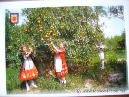 Postales: murcia, huertanas y naranjos - Foto 1