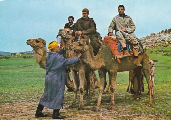 Postales: Camelleros, circulada (ver dorso) - Foto 1