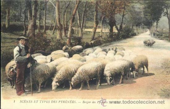 Postales: SCENES ET TYPES DES PYRENEES.- BERGER DES PYRENEES - Foto 1