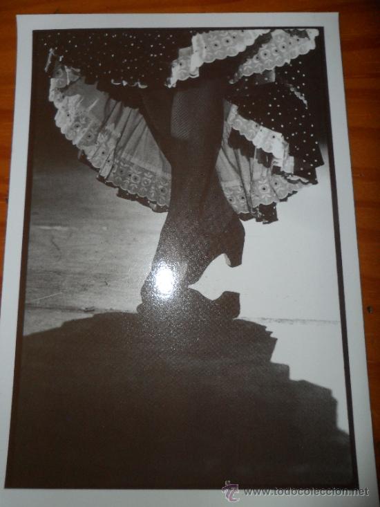 Postales: POSTAL FLAMENCO - Foto 1